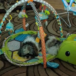 Meet your Posher, Roberta